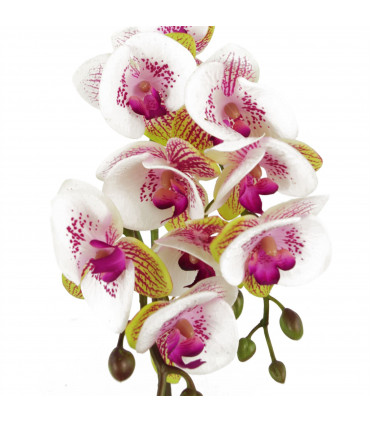 Artificial Harlequin Orchid - Pink with Gold Pot, Real Touch Leaves, 9 Flowers