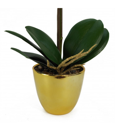 Artificial Harlequin Orchid - Pink with Gold Pot, Real Touch Leaves, 9 Flowers