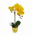 Artificial Orchid Plant - Golden Yellow with Gold Pot - Real Touch Leaves - 48cm