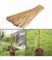 Bamboo 50 x 3FT Canes Sticks 90CM Garden Patio Plant Ties Supports 90 cm