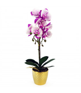 Orchid Artificial - Purple / White - Gold Pot - Real Touch - 50cm Height