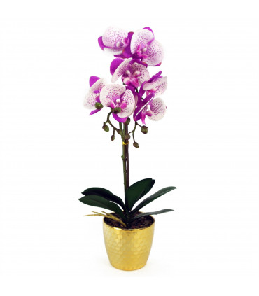 Orchid Artificial - Purple / White - Gold Pot - Real Touch - 50cm Height