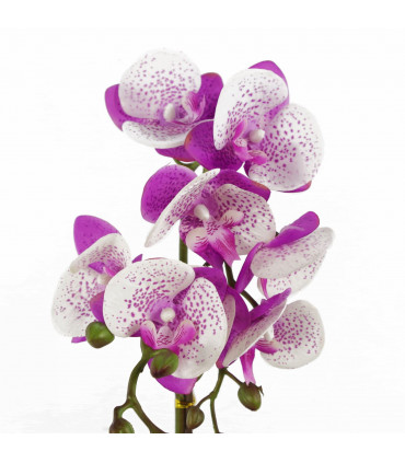 Orchid Artificial - Purple / White - Gold Pot - Real Touch - 50cm Height