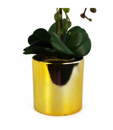 Artificial Orchid