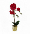 Artificial Orchid - Red Leopard - Gold Pot - Real Touch Leaves - 50cm Height