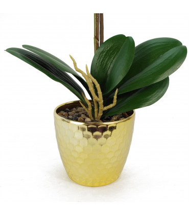 Artificial Orchid - Red Leopard - Gold Pot - Real Touch Leaves - 50cm Height