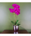 Artificial Phalaenopsis Orchid - Dark Pink Silver Real Touch Leaves 50cm