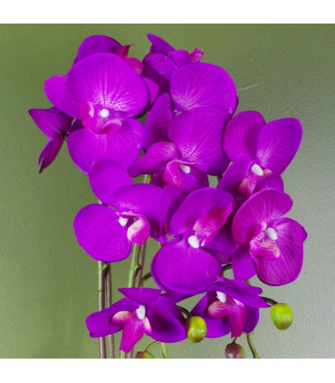 Artificial Orchid
