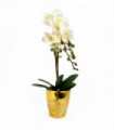 Artificial Orchid Plant 54cm White Gold Pot Real Touch Leaves Flowers