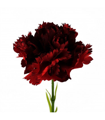 Artificial Flower Single Red Carnation 50cm Realistic Look Bare Stems Home Decor