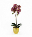 Artificial Orchid - Purple Leopard - Gold Pot - Real Touch - 50cm Height