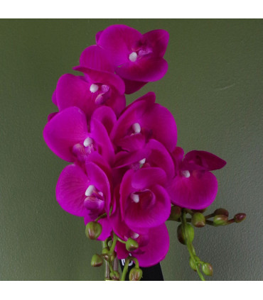 Artificial Orchid Plant