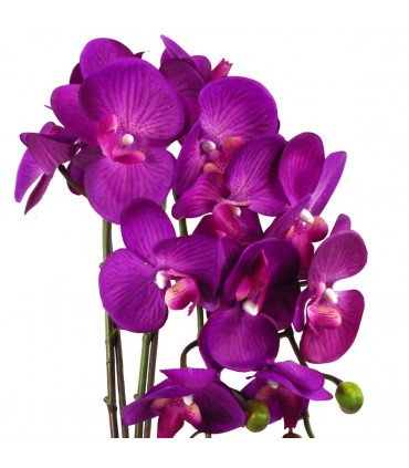Artificial Orchid