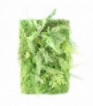 60cm Artificial Green Wall Fern