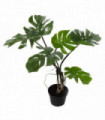 Artificial Monstera Plant 65cm Green Plastic 50cm x 50cm Twisted Stem Pot 280g