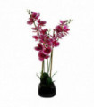 Ceramic Dark Pink 70cm Artificial Orchid Dark Pink with Black Ceramic Planter