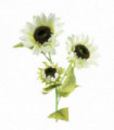 White Artificial Sunflower