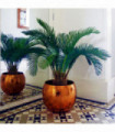 Artificial Tropical Cycas Palm Plant 80cm Green Fronded Leaves Realistic Trunk