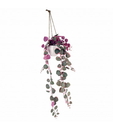Artificial Potted Trailing Hanging Pink Plant Realistic - String of Hearts 90cm