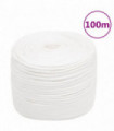 Boat Rope Full White 10 mm 100 m Polypropylene