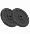 Weight Plates 2 pcs 2x15 kg Cast Iron