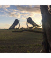 Metal robins on a branch Garden feature , garden sign decoration