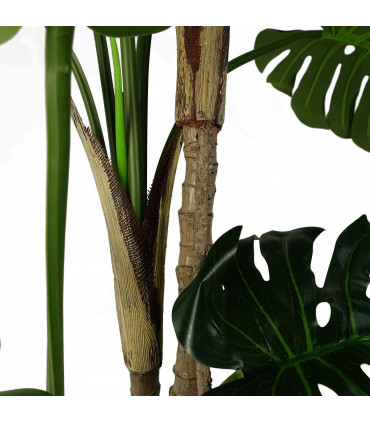 150cm (5ft) Luxury Monstera Cheese Plant Black Pot