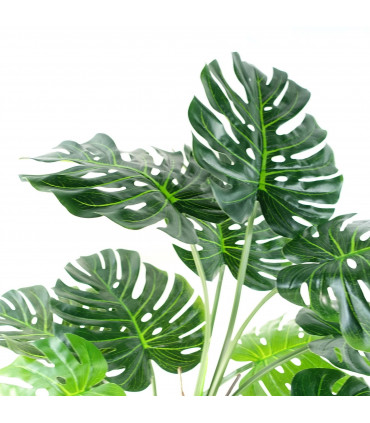 150cm (5ft) Luxury Monstera Cheese Plant Black Pot