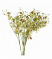 Pack of 6 x 80cm Cream Artificial Mini Orchid Stem