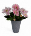 33cm Artificial Potted Daisy Pink