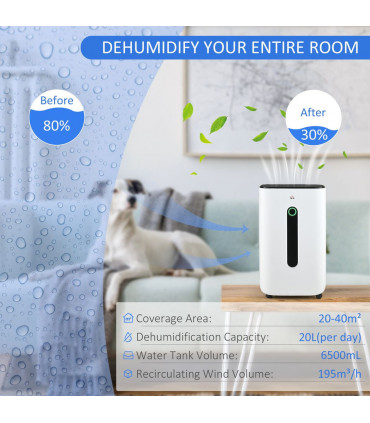 HOMCOM 20L/Day Quiet Air Dehumidifier with Purifier, Timer, for Home Laundry