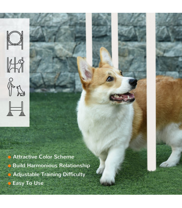 Dog Agility Equipment Obedience Training Set for Dogs - Multicoloured