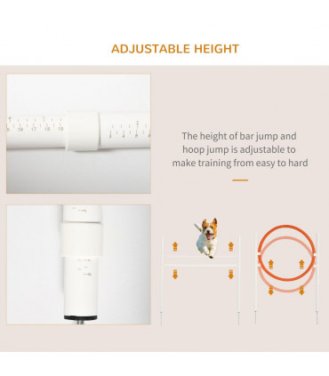 Dog Agility Equipment Obedience Training Set for Dogs - Multicoloured