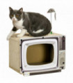 PawHut TV-Shaped Cardboard Cat House with Scratcher, Catnip, Toy Rat