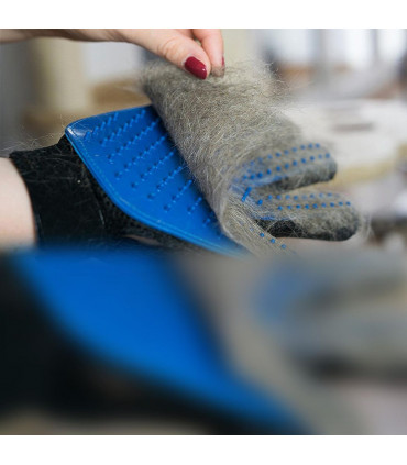 Cat And Dog Grooming Gloves 1 Pair - Blue