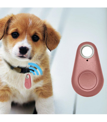 Aquarius Key Finder Anti-Lost Alarm with GPS Last Location Finder, Rose Gold