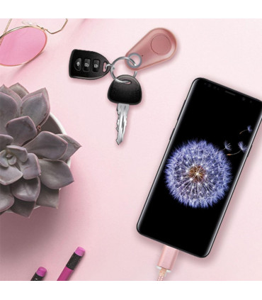 Aquarius Key Finder Anti-Lost Alarm with GPS Last Location Finder, Rose Gold