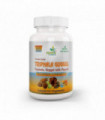 Triphala Guggul Capsule