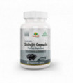 Shilajit Capsule Immune Support