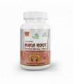 Maca Root Capsule