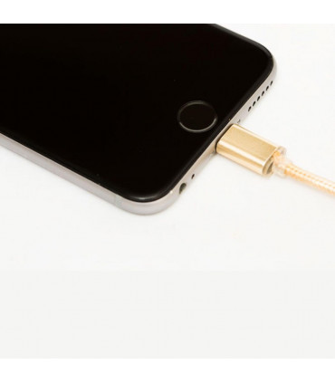 FX Multicoloured Dual USB Mains Charger 2.4 AMP Plug (EU), Gold