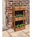 Regular Herb Garden Planter