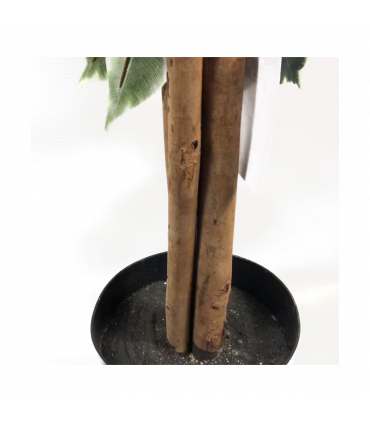 130cm Tall Variegated WhiteandGreen Bushy Ficus Tree