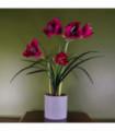 Artificial Amarylis Flowering Plant Pink