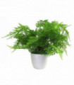 30cm Artificial Potted Lady Fern (Athyrium Filix-Femina)