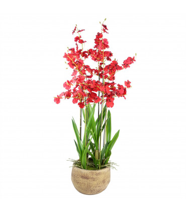 90cm Oncidium Artificial Orchid Red in Stoneware Planter