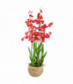 90cm Oncidium Artificial Orchid Red in Stoneware Planter