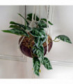 85cm Hanging Artificial Potted Pothos Plant with Planter