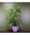 70cm Artificial Tree Fern with Decorative Planter