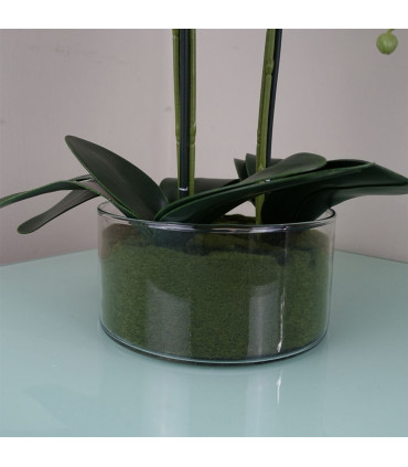 50cm Artificial Orchid with Glass Planter White
